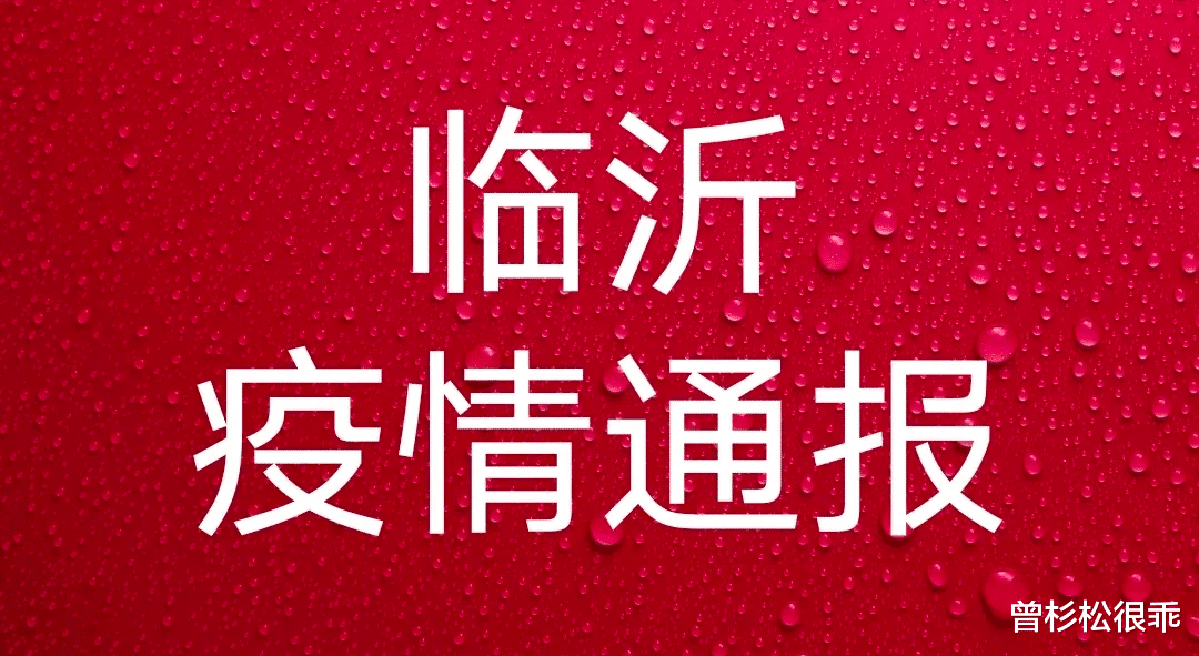 【临沂疫情最新情况，临沂疫情最新情况实时动态】