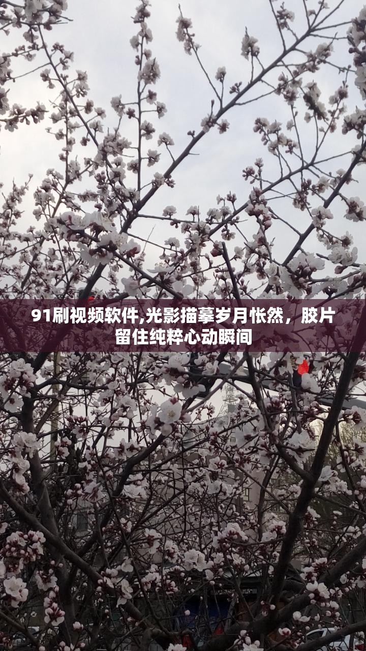 91刷视频软件,光影描摹岁月怅然，胶片留住纯粹心动瞬间